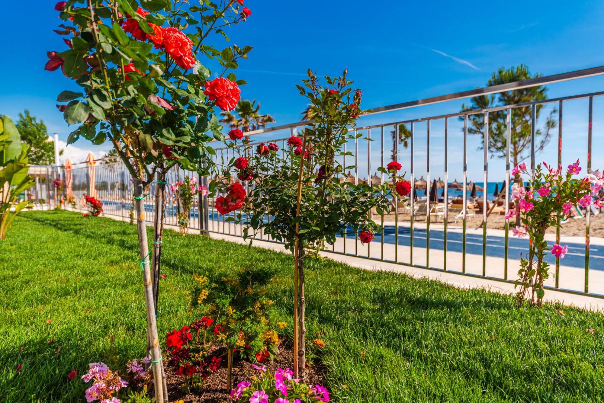 Sea View Apartments Eldo Durrës Buitenkant foto